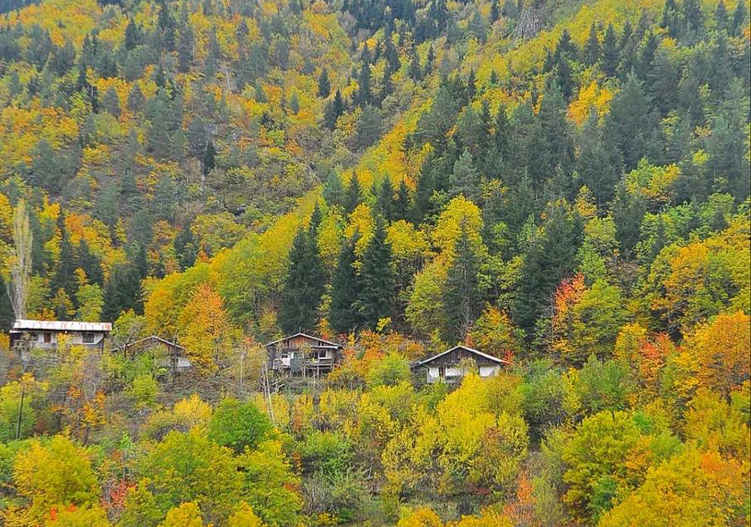 Sonbahar Renkleri İçinde Şavşat-Macahel-Borçka (21-25 Ekim - 26-30 Ekim)